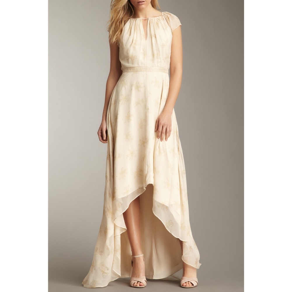 Nwt ELIZABETH AND JAMES Sandy Silk Dress - Picture 1 of 12